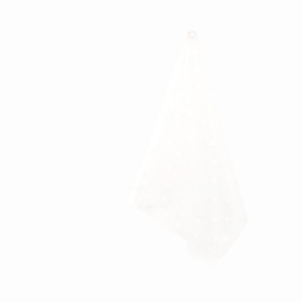 Flocked_Dot_Tulle-Ivory_Hang_7f755122-920e-4a4c-876d-032c53ba8489.jpg