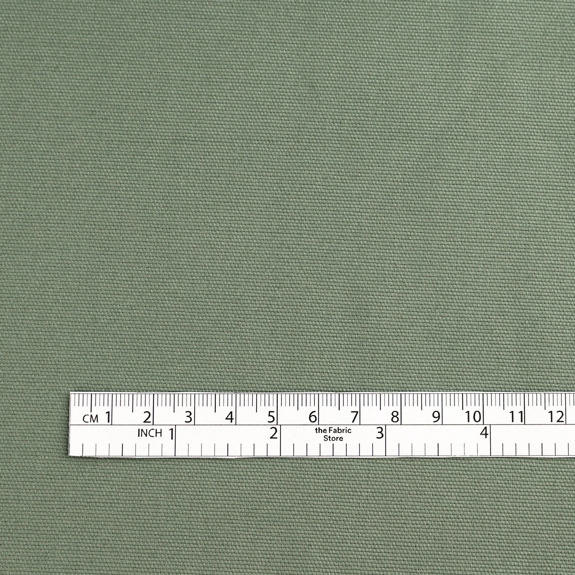 Cotton Canvas - Eucalyptus