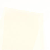 Nylon Tulle - Cream