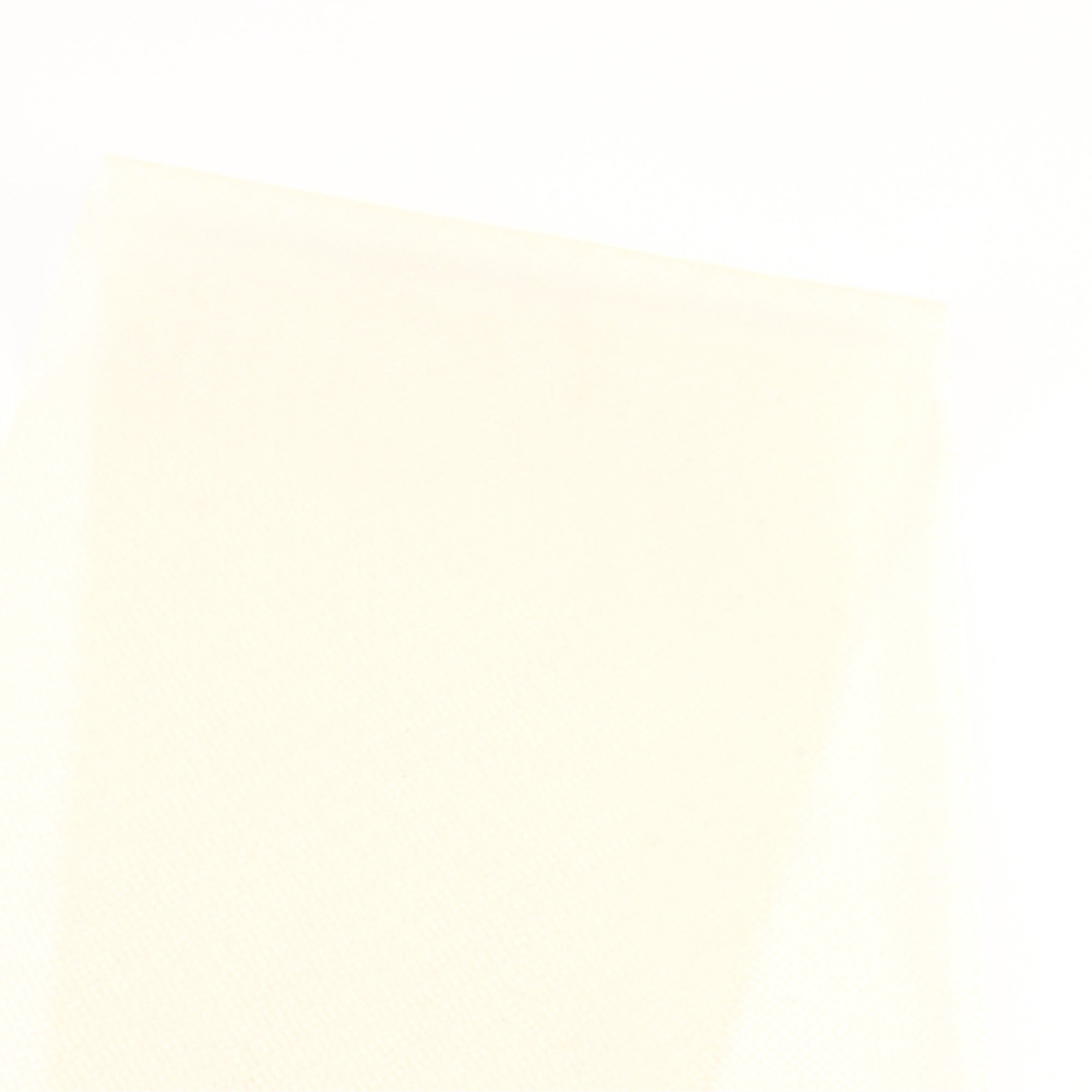 Nylon_Tulle-Cream_Swatch_36794f52-0979-47e0-8e6a-f7dfc2078920.jpg