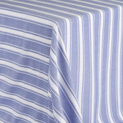 Weft Stripe Cotton - Blue White